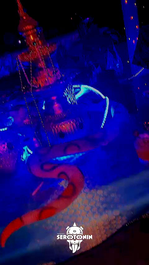seilorkittyofficial archive video preview