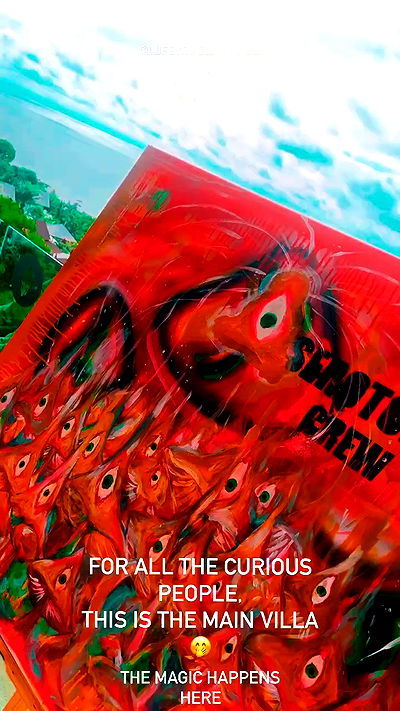 seilorkittyofficial seilorkittyofficial archive video