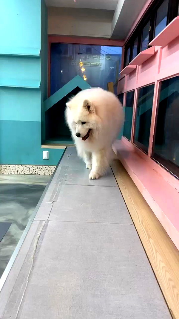 zoe.glover archive video preview