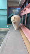 zoe.glover Altpins Profile Picture