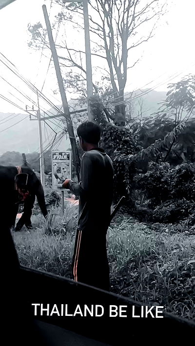 seilorkittyofficial seilorkittyofficial archive video