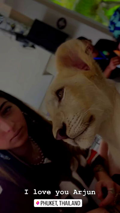 seilorkittyofficial seilorkittyofficial archive video