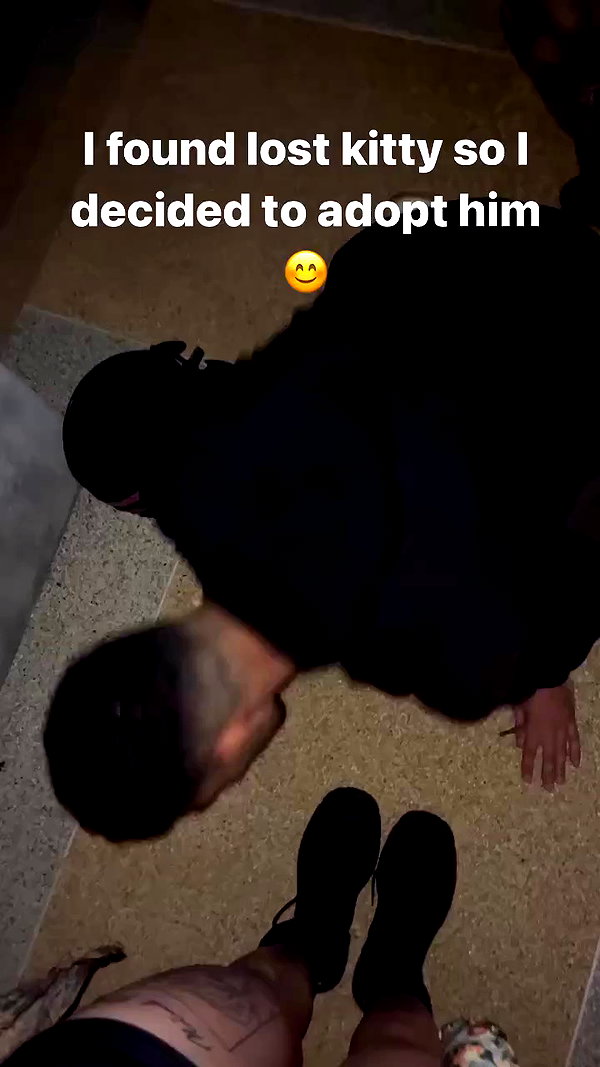seilorkittyofficial archive video preview