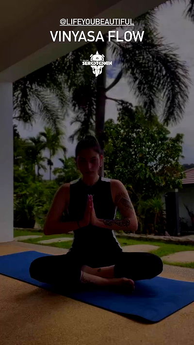 seilorkittyofficial seilorkittyofficial archive video