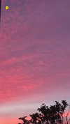 carmen.lial Altpins Profile Picture