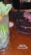 shaniii.1 Altpins Profile Picture