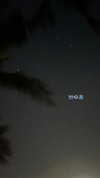 danchiii6403__ Altpins Profile Picture