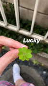 katie_westwood Altpins Profile Picture