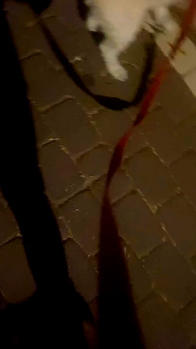 feelbetterinmysweater feelbetterinmysweater archive video