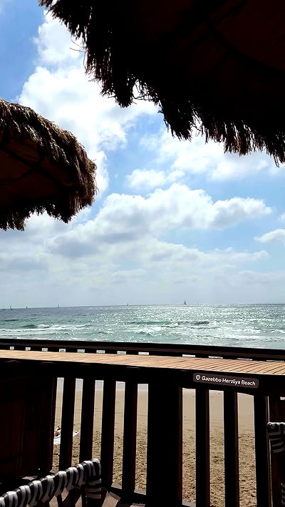 justlerman justlerman archive video