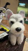 ceceyjwww Altpins Profile Picture