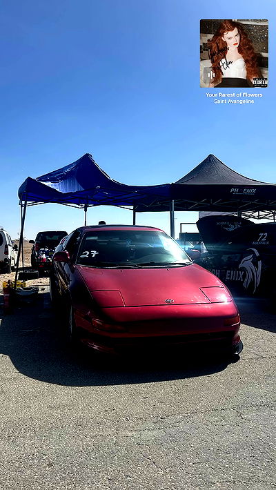 simp_for_cats_ simp_for_cats_ archive video