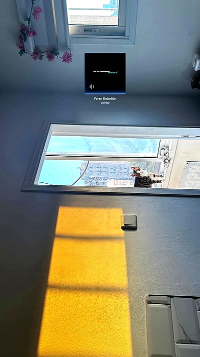 lila.garnik lila.garnik archive video