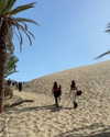 romy.benshushan Altpins Profile Picture