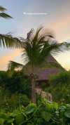 noa_mendel_ Altpins Profile Picture