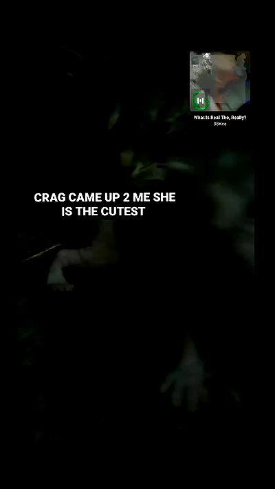 pinchchicken pinchchicken archive video