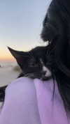sydney_melman Altpins Profile Picture