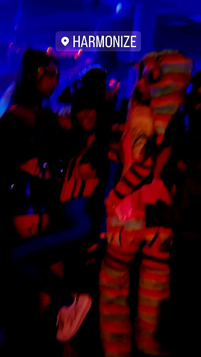 seilorkittyofficial seilorkittyofficial archive video