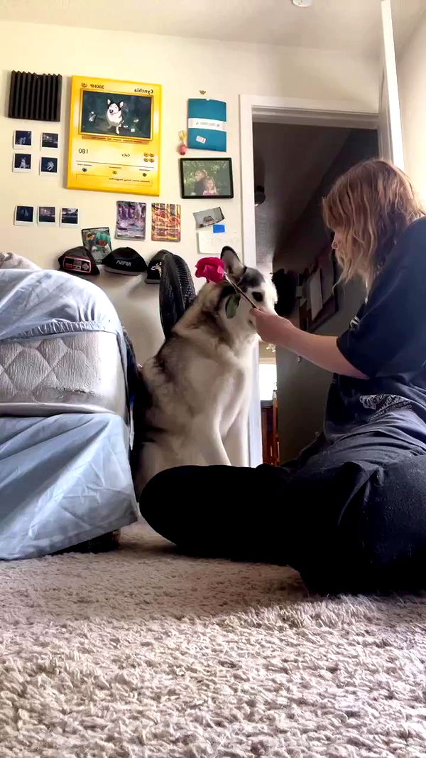 _animechika_ archive video preview