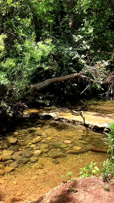 elianachetrit elianachetrit archive video