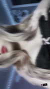 bunnibunnigrrl Altpins Profile Picture