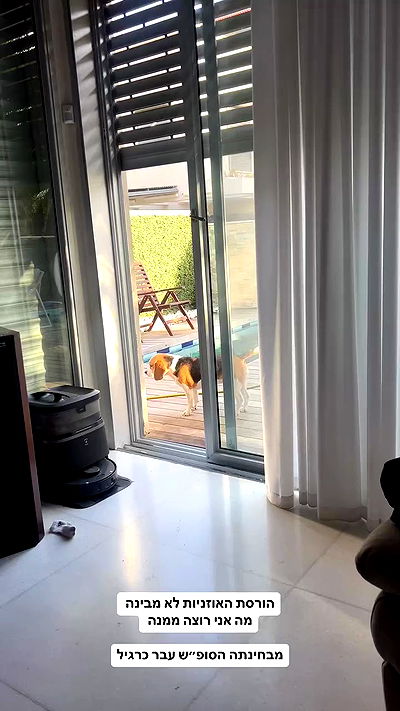 emily.otaku emily.otaku archive video