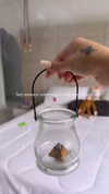 dianavgalvis Altpins Profile Picture
