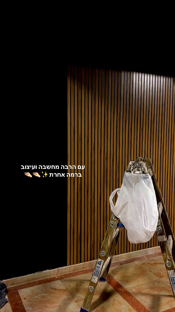 romy.benshushan archive video preview