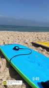 molly_fridman Altpins Profile Picture