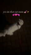 chloelilsxx Altpins Profile Picture