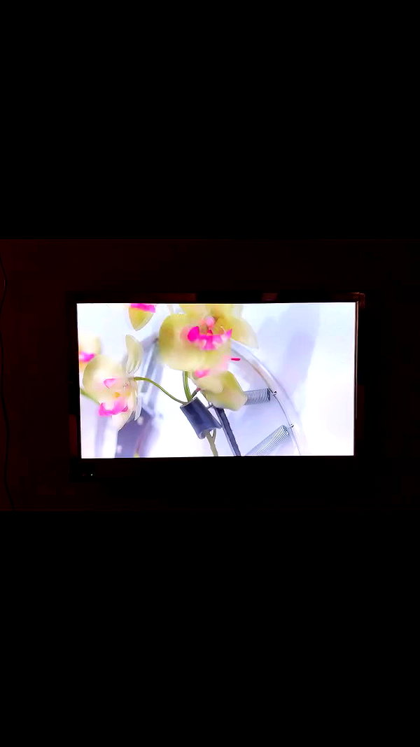 lerasww archive video preview