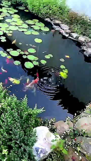 sophieraiin sophieraiin archive video