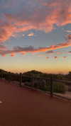 eloise_wensley Altpins Profile Picture