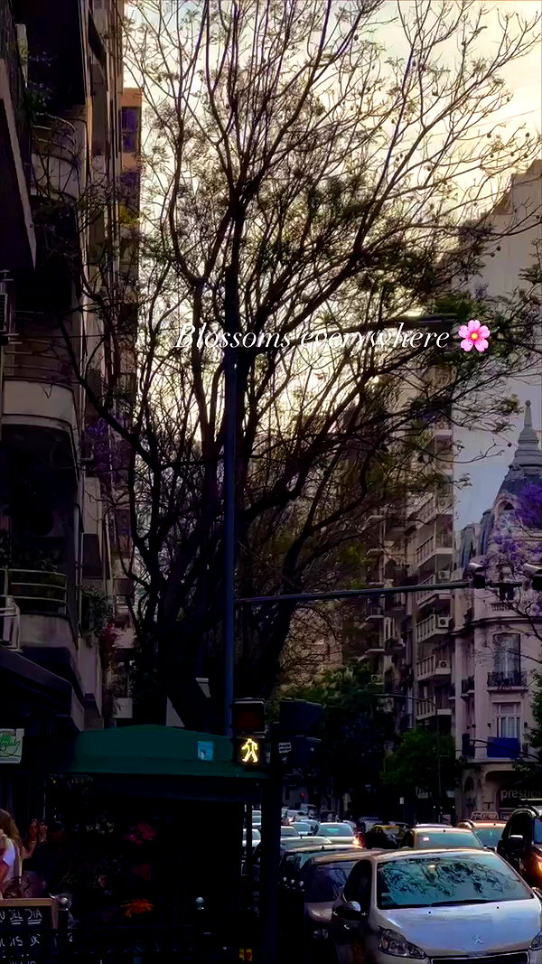 lizakovalenkoo archive video preview