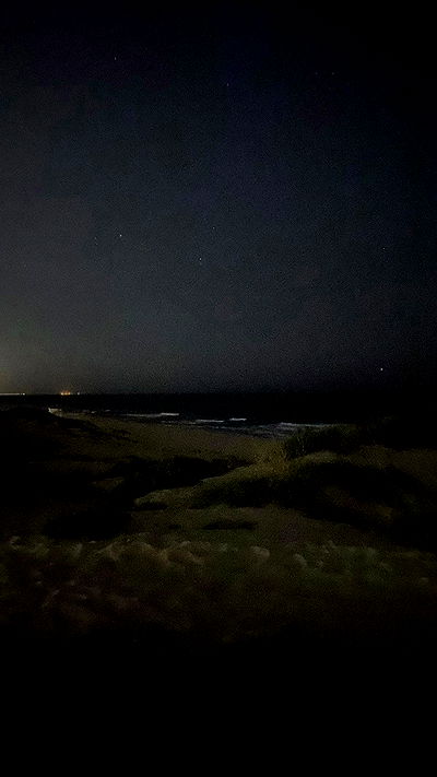 noa_zemlyanski noa_zemlyanski archive video