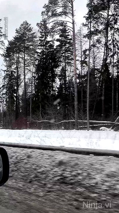 ninja.vi ninja.vi archive video