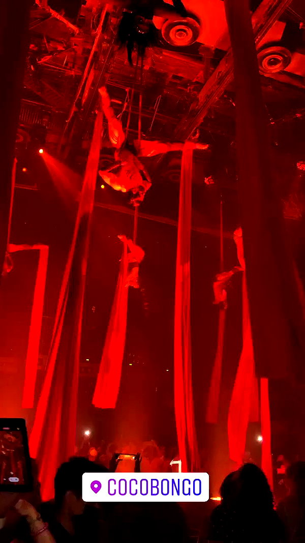 daniel_shallom archive video preview