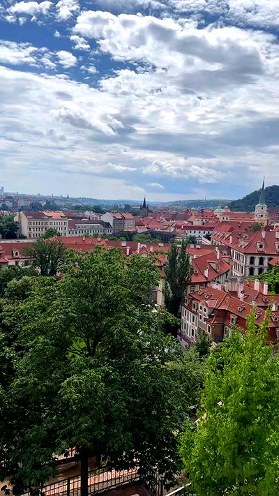 shelly_.mor shelly_.mor archive video