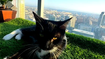 viezery viezery archive video