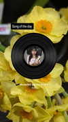 zz.eazoning Altpins Profile Picture