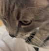 _tero._ Altpins Profile Picture