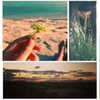 beyonce Altpins Profile Picture