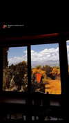 jesskq_ Altpins Profile Picture