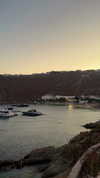 diana_tal_ Altpins Profile Picture