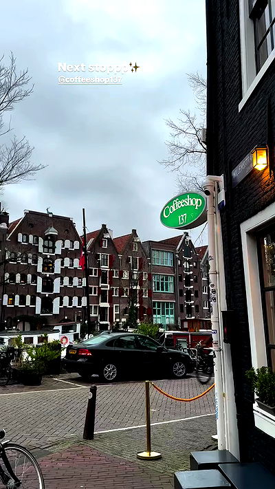 bakedsloths bakedsloths archive video