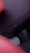 caammmyyy Altpins Profile Picture