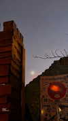 l.rsn_ Altpins Profile Picture