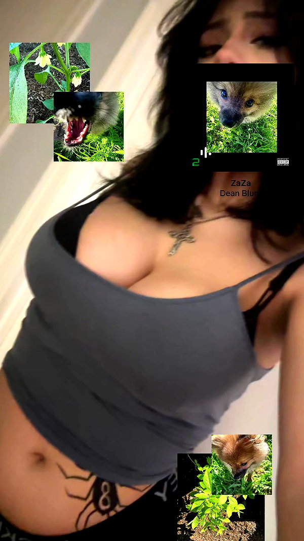 mediakitty_ archive video preview