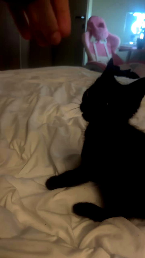 miss_baby007 archive video preview
