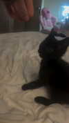 miss_baby007 Altpins Profile Picture